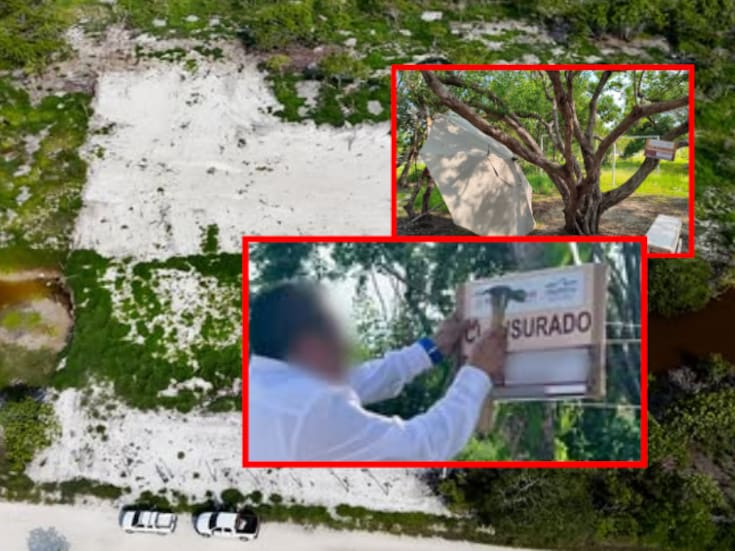 Profepa clausura tres predios en Yucatán por devastar manglares y rellenar humedales sin permiso