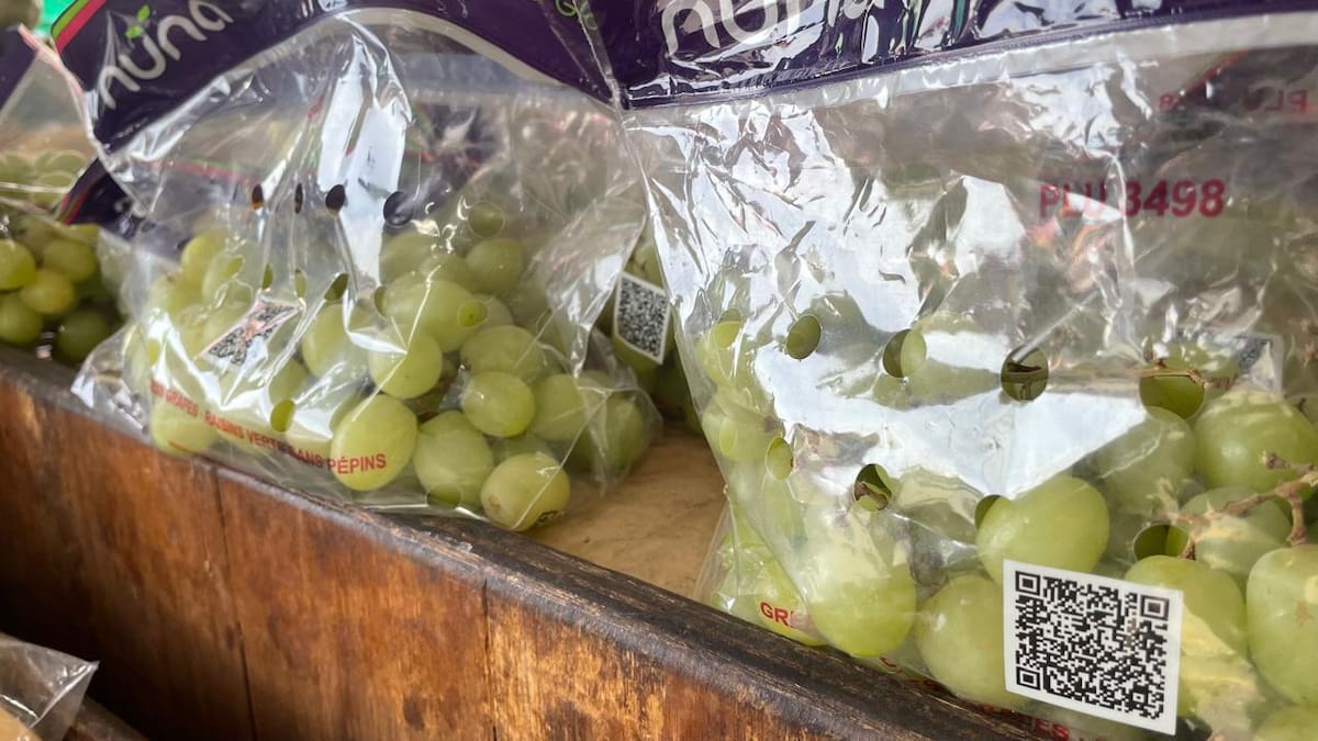 En Tijuana la venta del producto de temporada se mantiene expectante y con mayor movimiento previsto para los últimos días de diciembre, según vendedores. Foto:Michelle Castillo