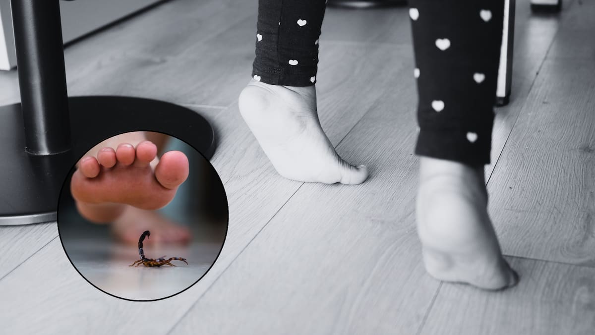 FGR investigará muerte de niña por picadura de alacrán en Hermosillo