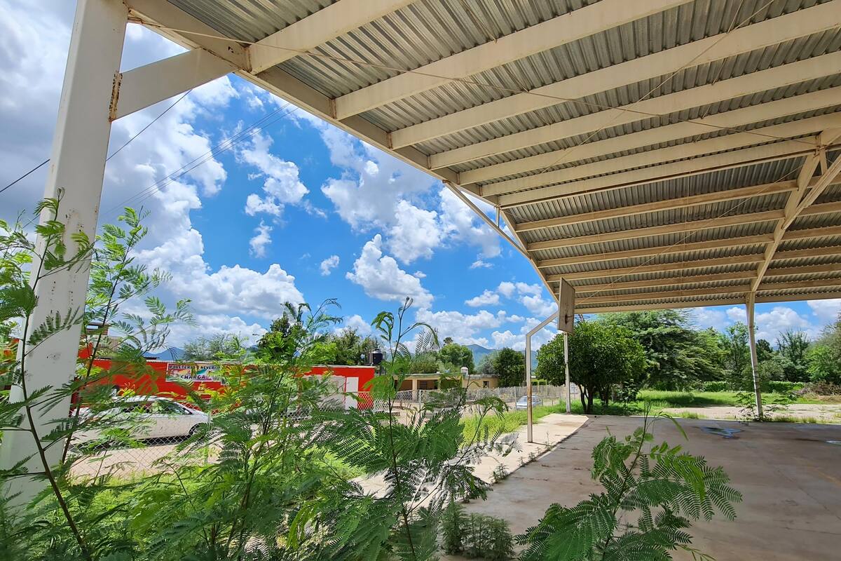 SEC lanzará sitio de "Reactiva tu escuela" para geolocalizar escuelas rehabilitadas de Sonora