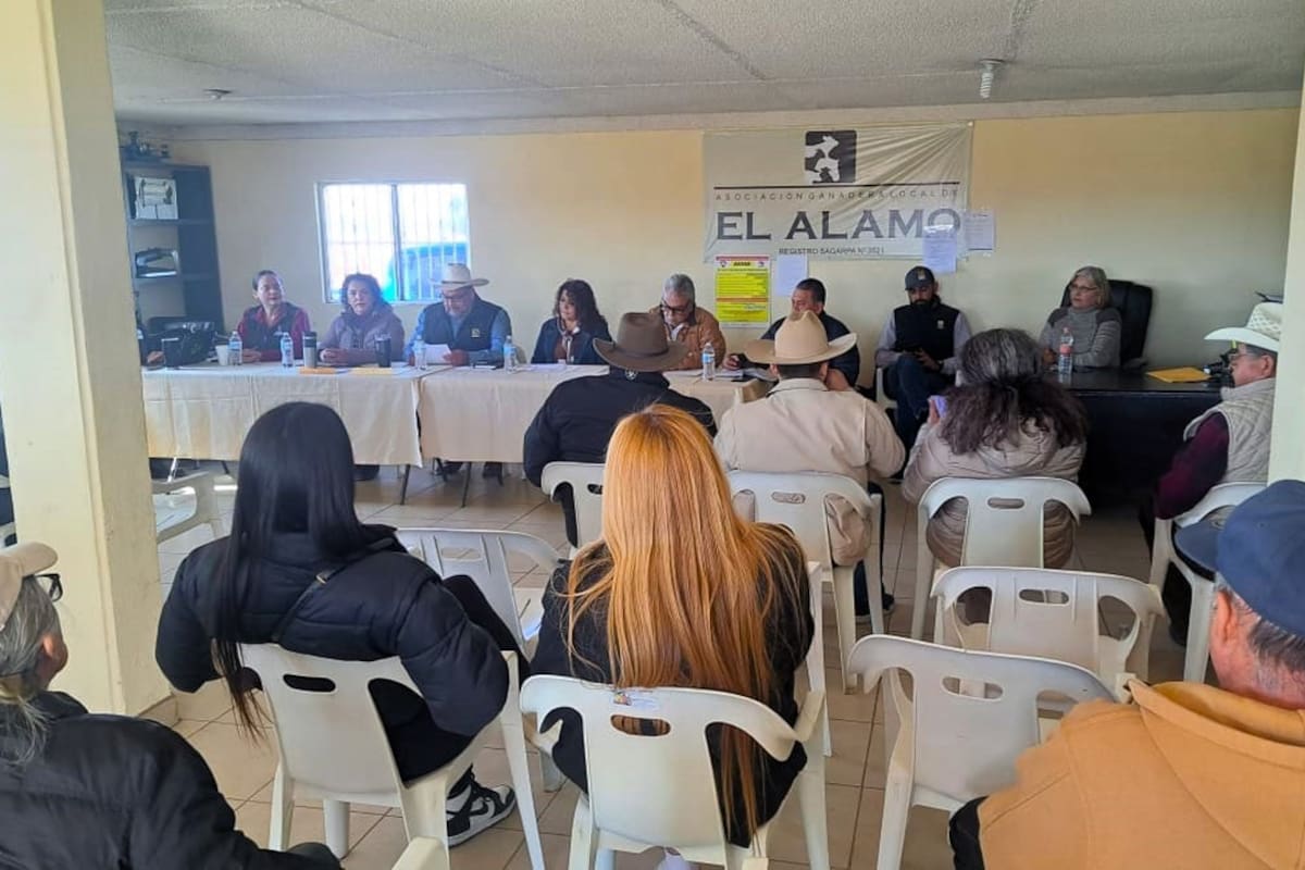 Ganaderos de Ensenada contabilizarán perdidas por los incendios