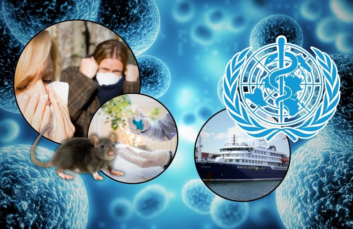La OMS advirtió que podrían surgir nuevos contagios de hantavirus entre pasajeros y tripulantes del crucero polar MV Hondius debido al largo periodo de incubación de la enfermedad. | Foto: Especial GH/Reuters.