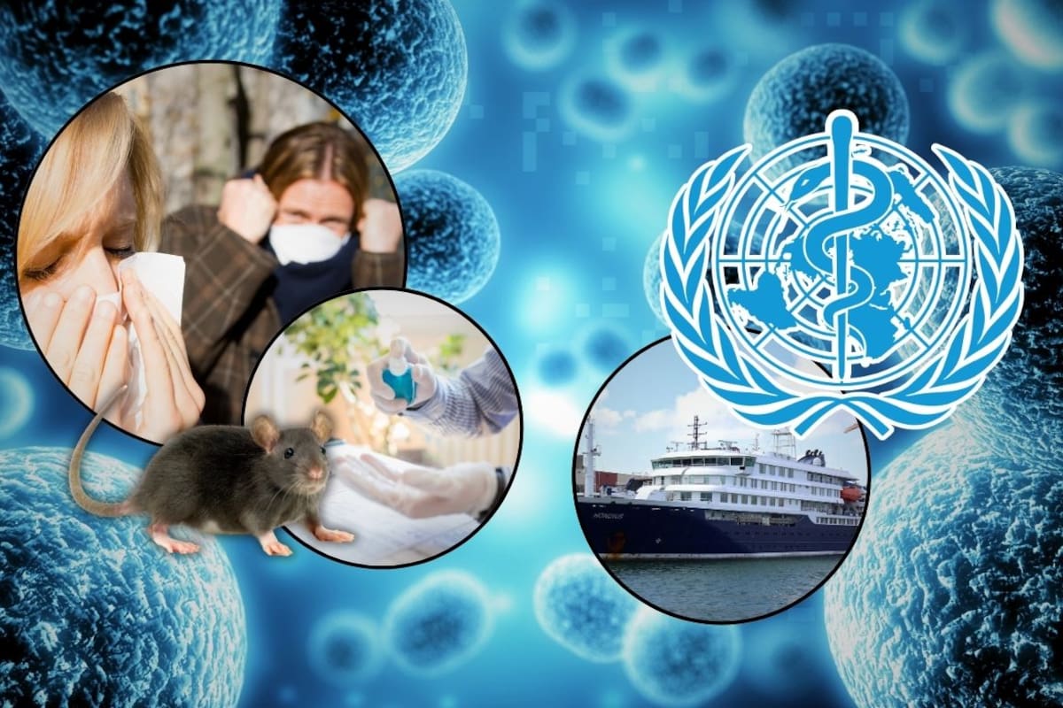 OMS advierte que podrían aparecer más casos de hantavirus tras brote en crucero; vigilancia podría extenderse hasta 42 días