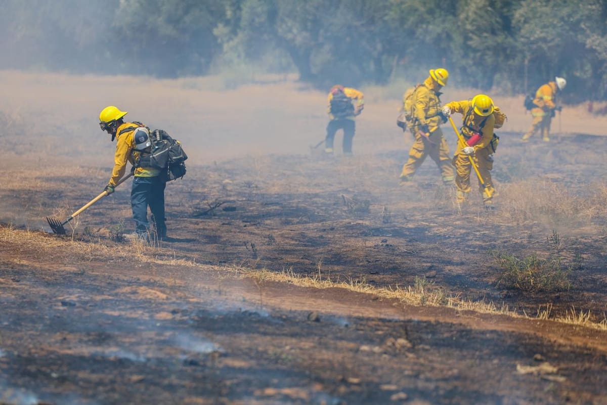 Durante 5 días, elementos de corporaciones de emergencia recibieron capacitación práctica y teórica en la materia. Foto: Cortesía