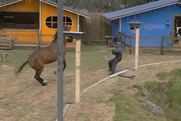 Sergio Mayer Mori tuvo un incidente con un caballo en