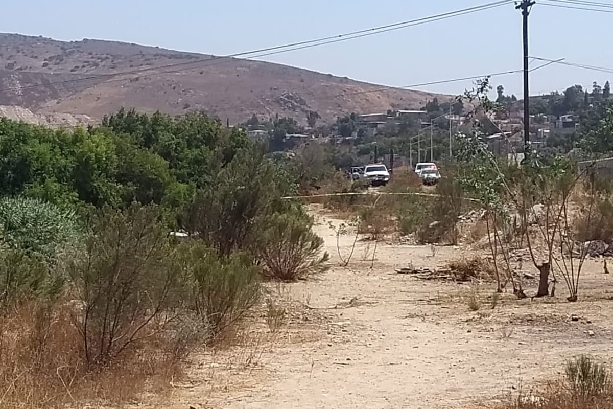 Hallan cadáver putrefacto en la colonia Los Venados