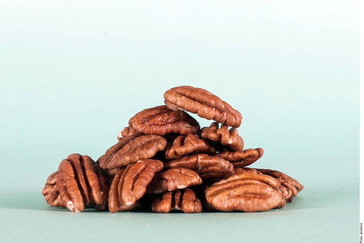 Lidera México en mundo producción de nuez pecana