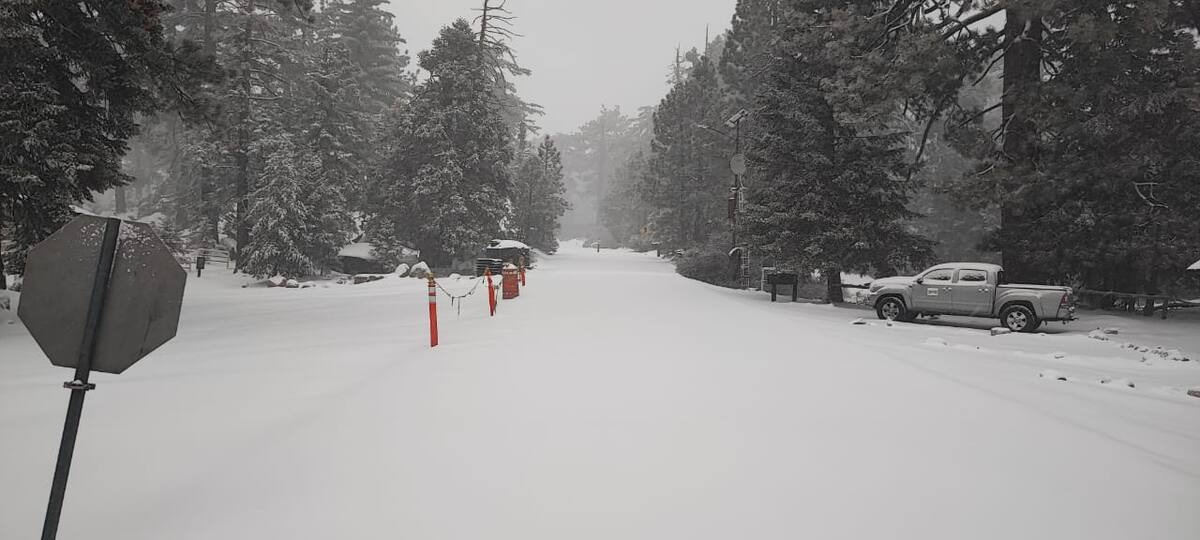 Se registra un acumulado de 15 centímetros de nieve en las sierras de San Pedro Mártir y Constitución de 1857.