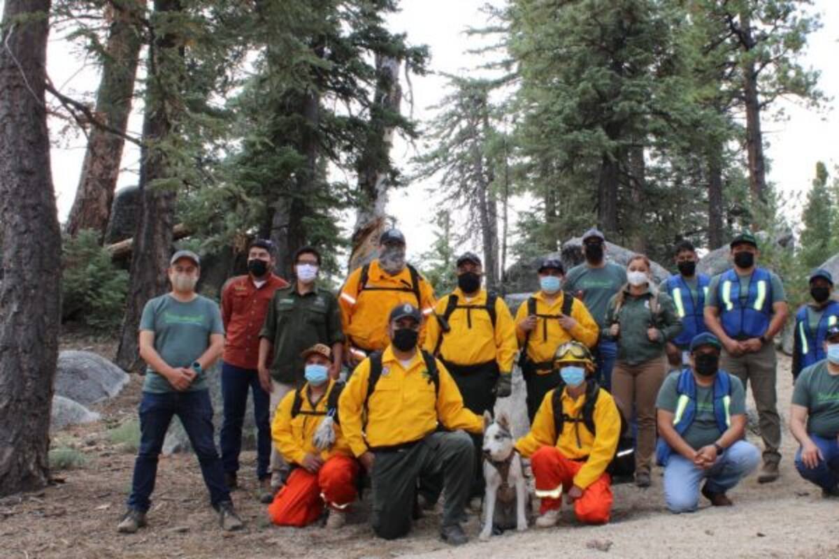 Voluntarios realizan acciones de conservación en Sierra de San Pedro Martir