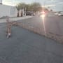 Colapsa antena de 30 metros sobre una vivienda en San Luis Río Colorado