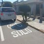 Hermosillo llama a respetar banquetas y rampas; así puedes denunciar vehículos mal estacionados