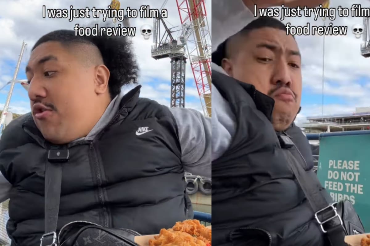 “Las gaviotas también querían probar”: hombre intenta grabar la reseña de su comida y es atacado por aves que le roban parte del platillo