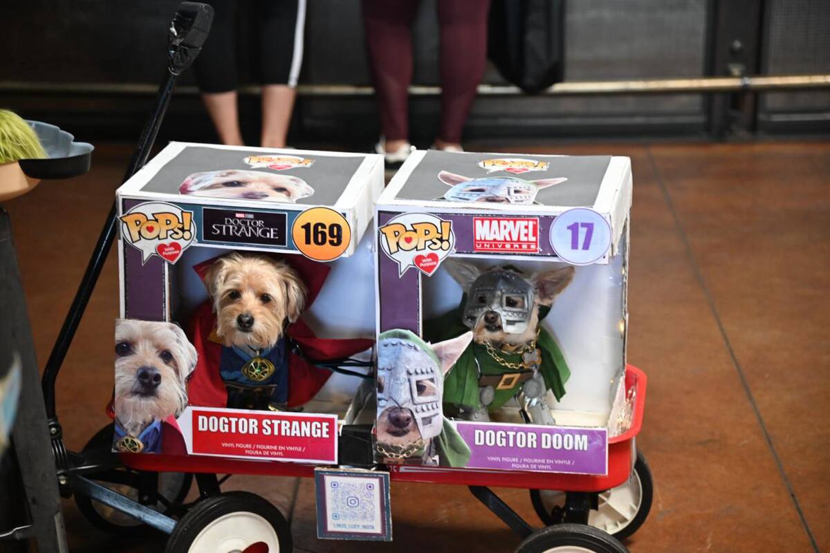 Celebrarán a los animales y las artes populares con PAWmicon