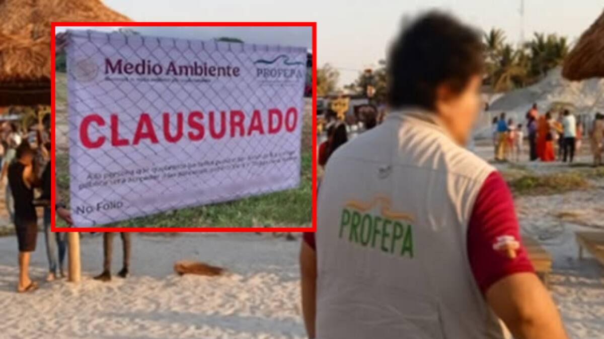 Profepa clausura 31 obras ilegales en playas durante Semana Santa; también asegura animales silvestres y huevos de tortuga