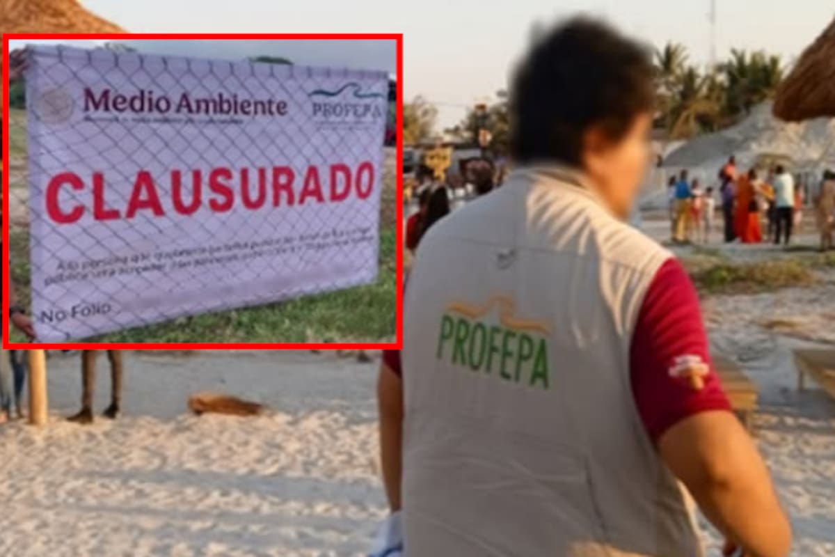 Profepa clausura 31 obras ilegales en playas durante Semana Santa; también asegura animales silvestres y huevos de tortuga