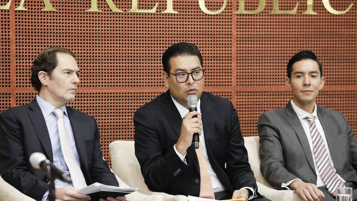 Destacan en el Senado impacto económico de TikTok: genera 58 mil empleos y una derrama de más de 45 mil millones de pesos en México