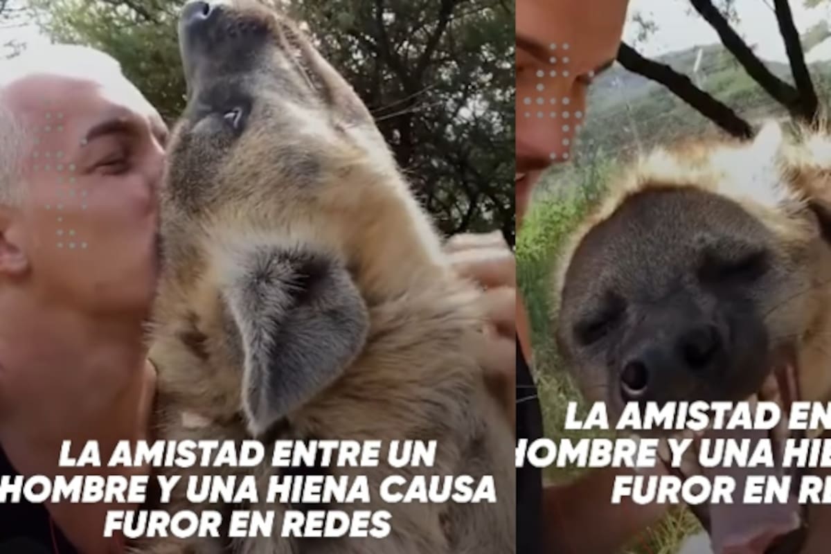 Un inusual vínculo: la amistad de un hombre con una hiena se vuelve viral en redes sociales