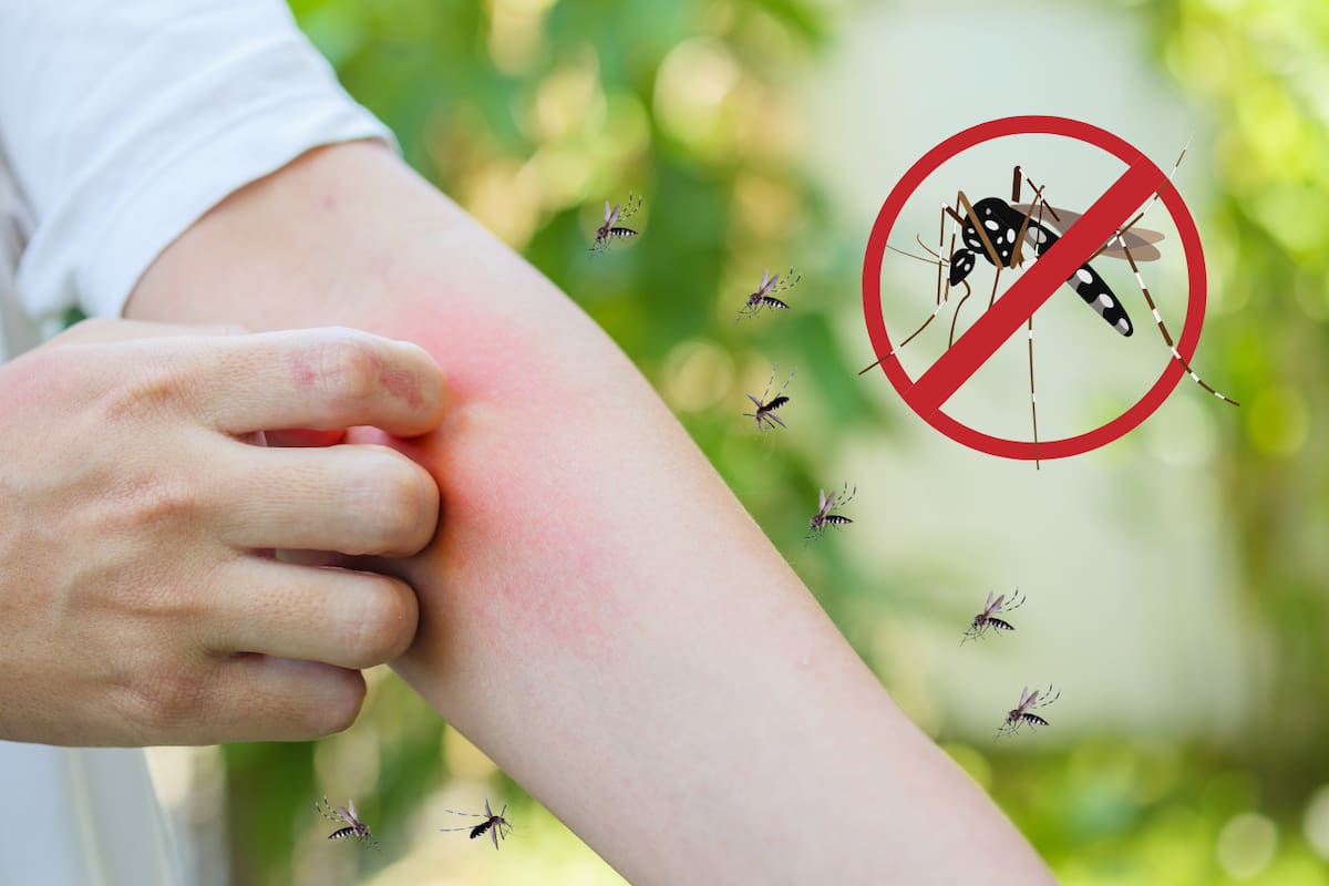 Confirma más de mil 300 casos de dengue en lo que va del año, casi el triple que en 2024