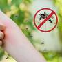 Sonora registra 730 casos de dengue en 2026, más del 4,100% de incremento respecto al año anterior