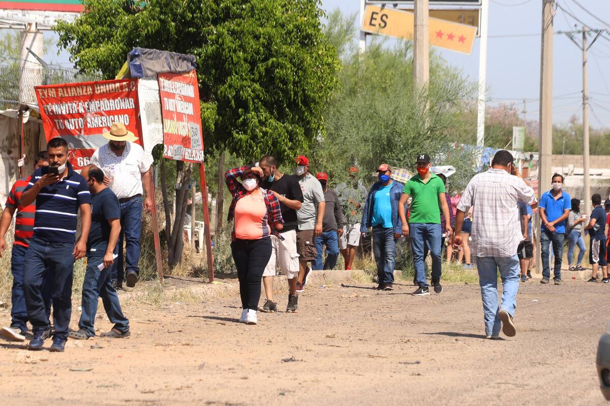 Hacen fila hasta por cuatro horas para comprar cerveza