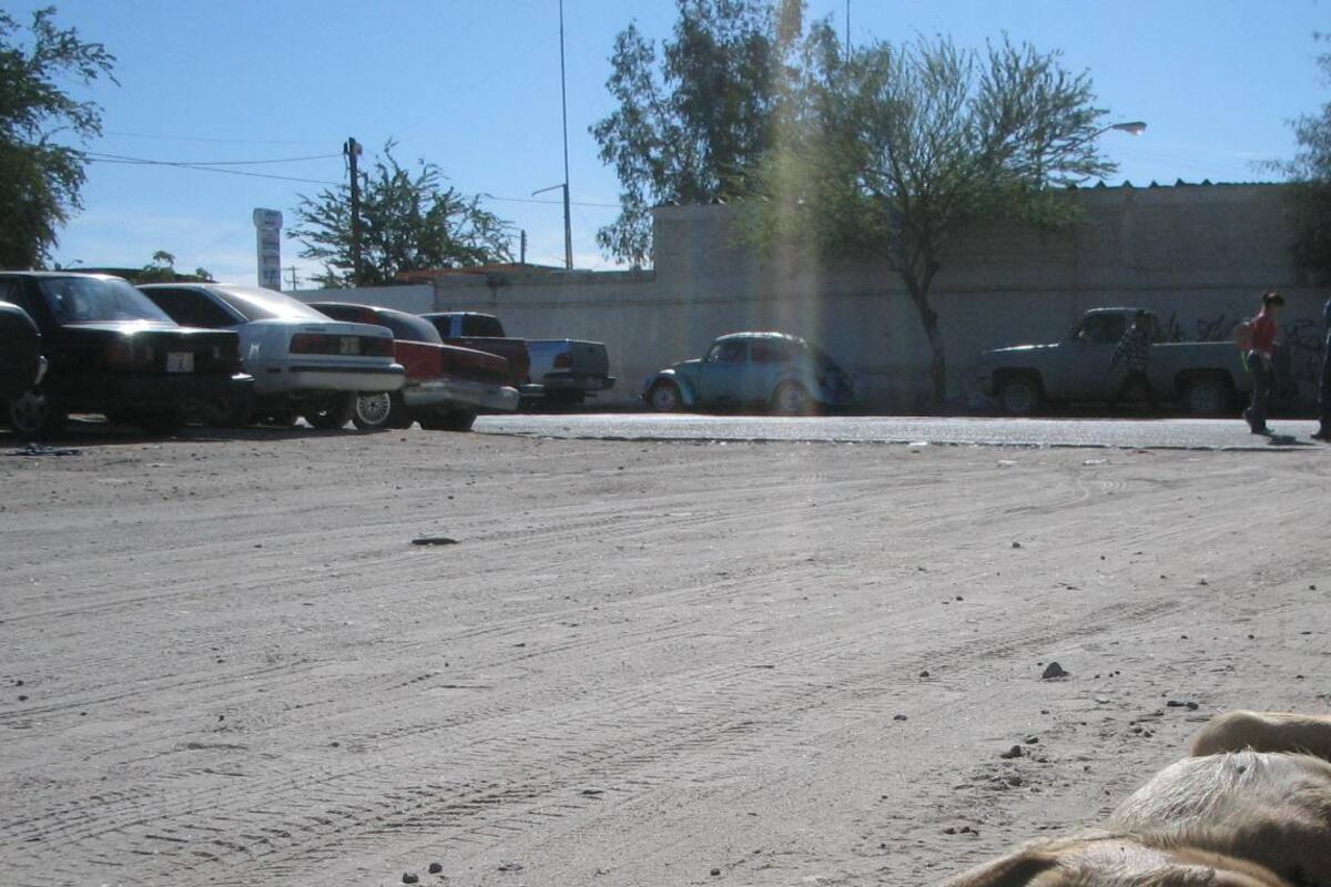 Agresiones y atropellos a canes han disminuido en Hermosillo: Jorge Zepeda