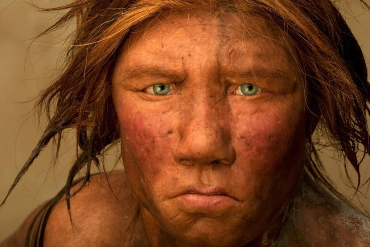 Cómo eran las relaciones sexuales de los neandertales
