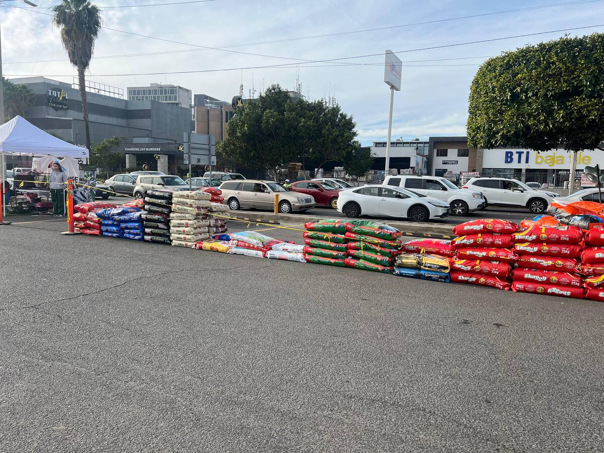 Foto: Leonardo González