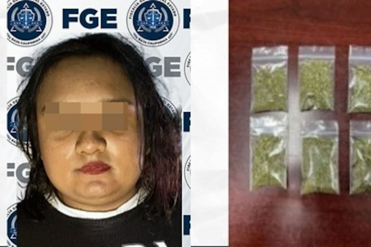 Localizan droga y detienen a uno en cateo en Baja California