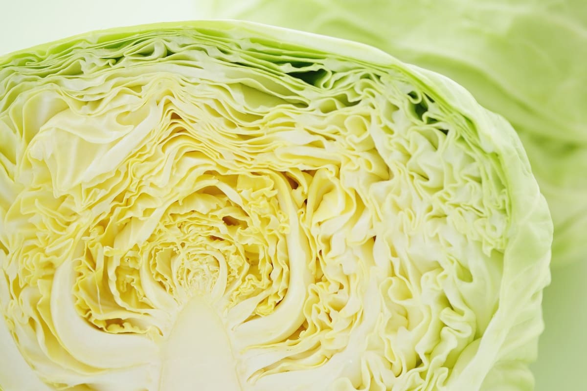 El repollo: qué es y 3 recetas saludables para disfrutarlo