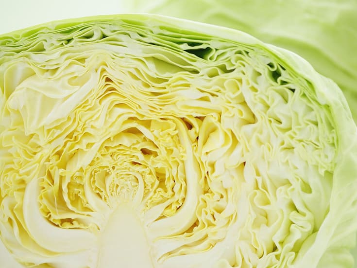 El repollo: qué es y 3 recetas saludables para disfrutarlo