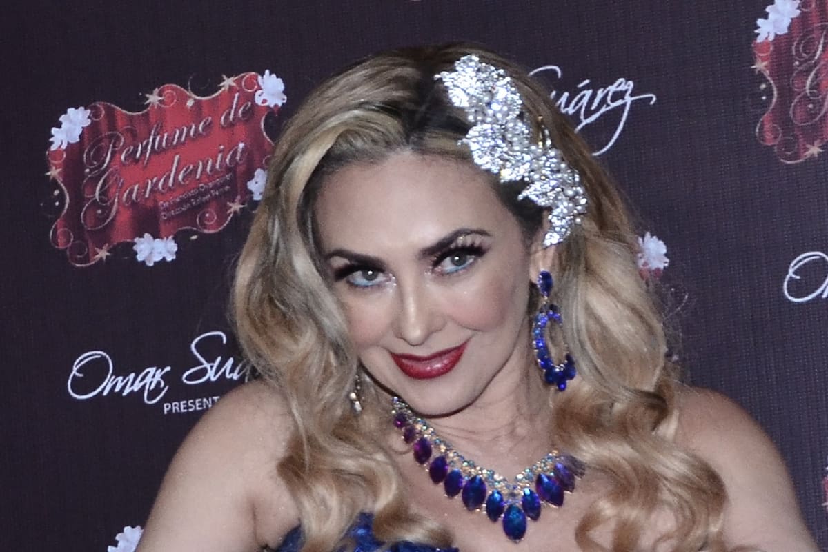 Aracely Arámbula cuenta cómo celebrará su cumpleaños 50