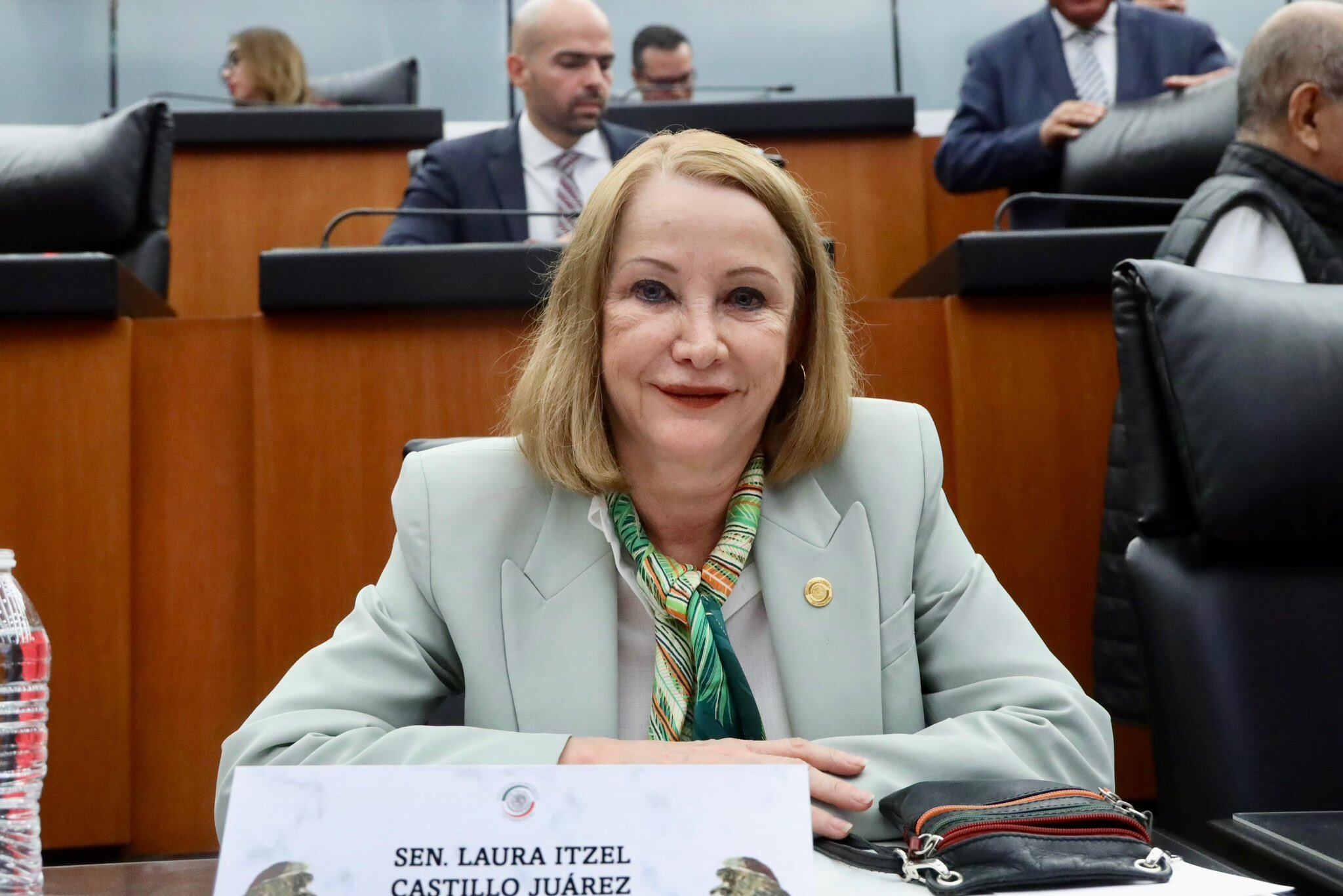 La senadora Laura Itzel Castillo es elegida por Morena para sustituir a Gerardo Fernández Noroña como presidente del Senado. | Crédito: X @LauraI_Castillo