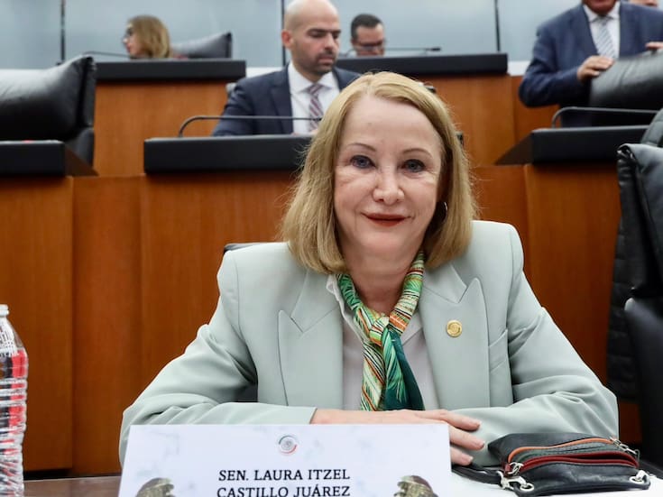 La presidenta del Senado, Laura Itzel Castillo, pidió al titular del Fondo de Cultura Económica, Paco Ignacio Taibo II, disculparse públicamente por sus expresiones sobre escritoras mujeres