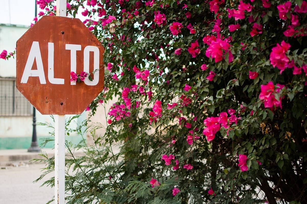 Una pesadilla, falta de cultura vial en Ciudad Obregón