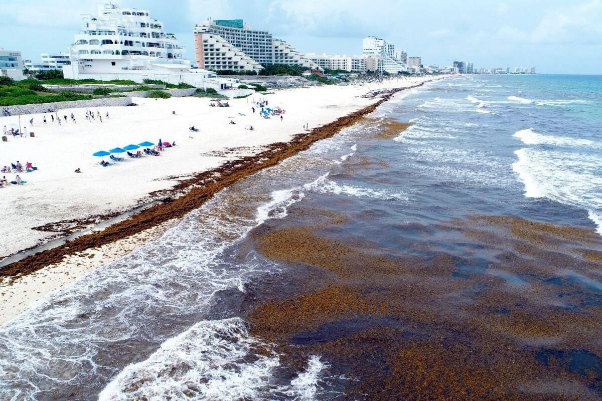 Llega a Cancún barco de Semar para atender sargazo