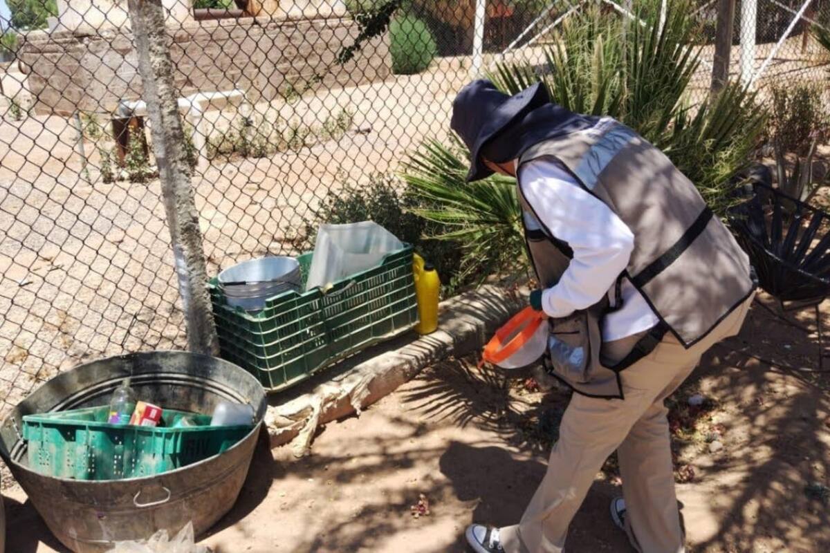 Reporta Salud 152 casos de dengue en Sonora