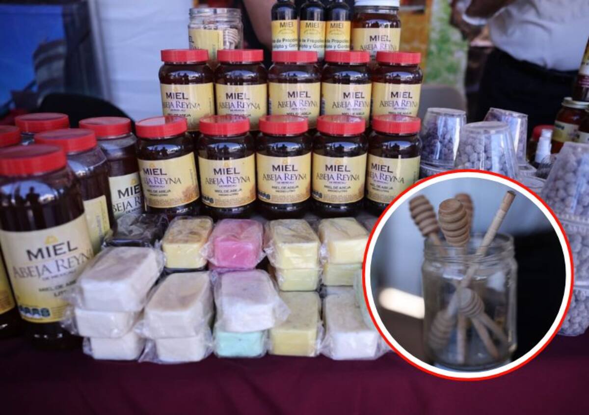 Foto: Juan J. Morales.