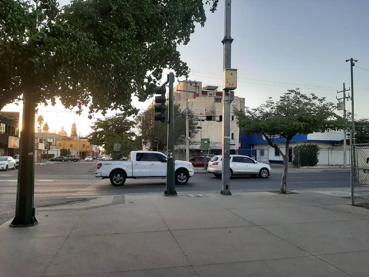 En las esquinas, los árboles proporcionan sombra a las personas que esperan cruzar la calle. / Gabriela Rivera P.