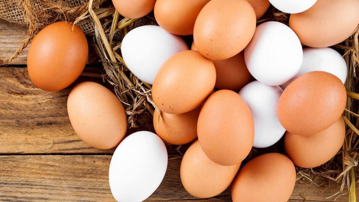 Además de ser rico en proteínas, el huevo es una fuente de selenio y antioxidantes.