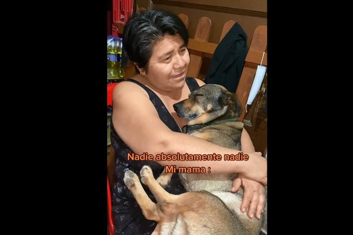 VIDEO TIKTOK: Mujer le dedica emotiva canción a su mascota