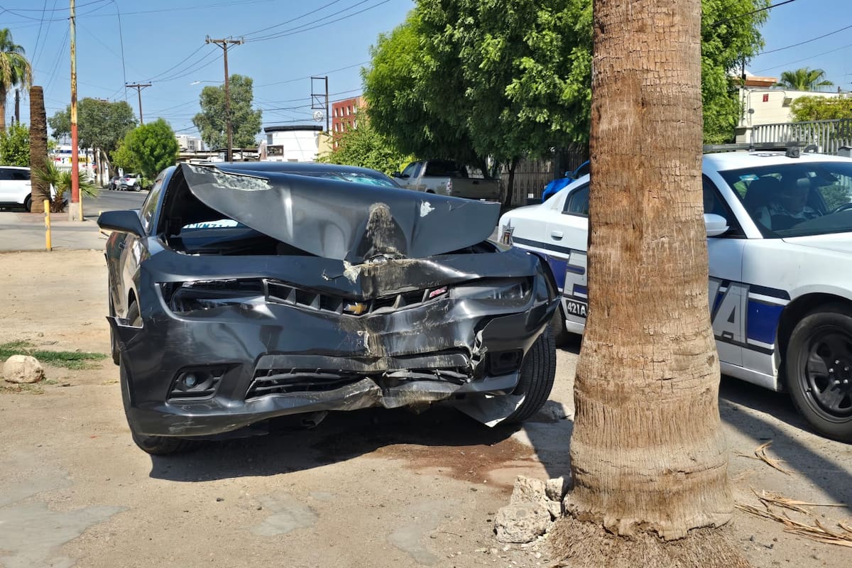 Sujeto choca su Camaro contra una palma en la colonia Industrial y abandona el vehículo