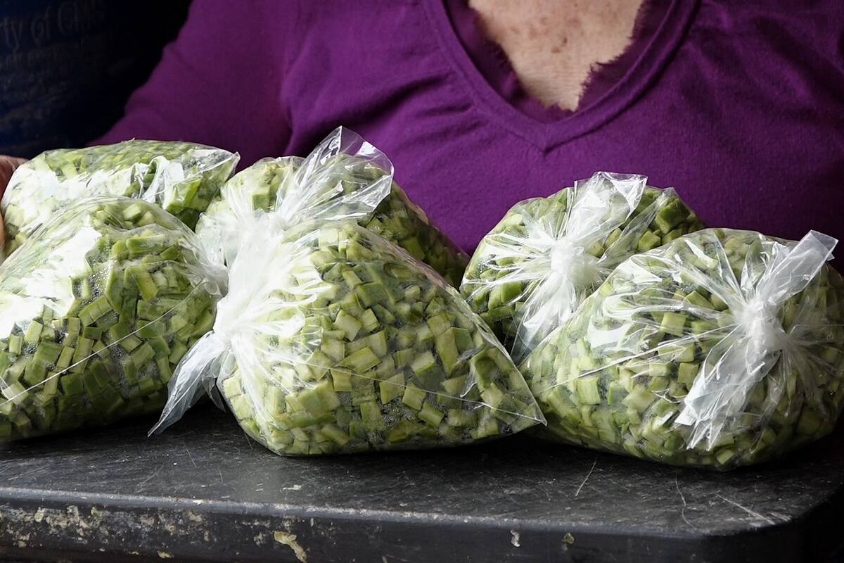 Abuelas venden nopales en Tijuana para salvar a su nieto