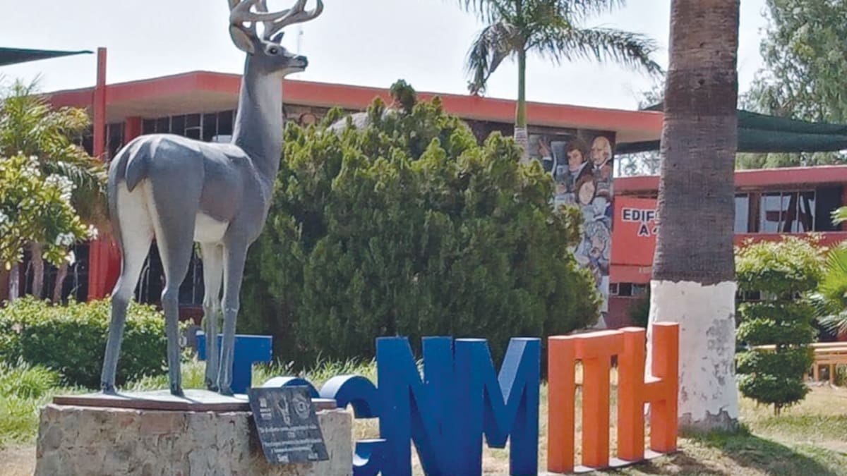 Sonora, con potencial para ser centro de industria de baterías para auto eléctrico mexicano