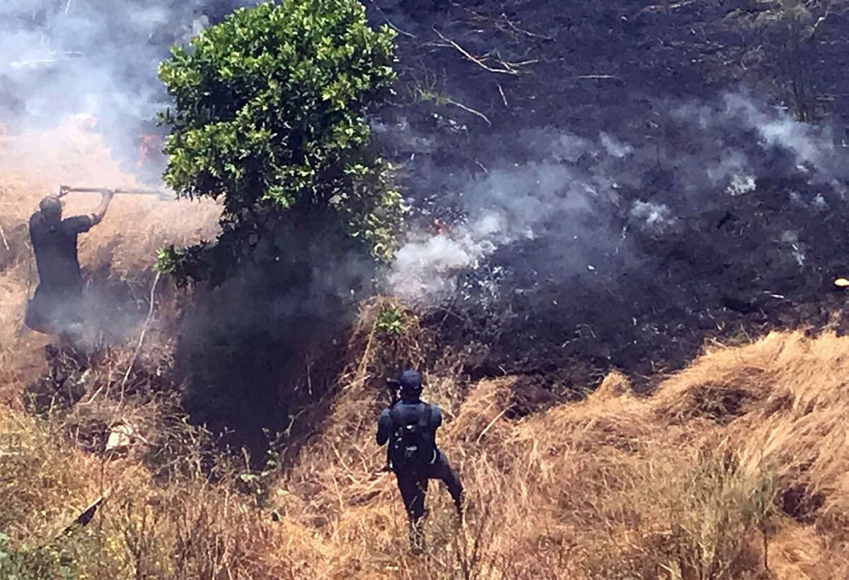 Entre las recomendaciones más importantes se encuentran mantener libre de maleza alrededor del predio en un área de 5 a 10 metros.