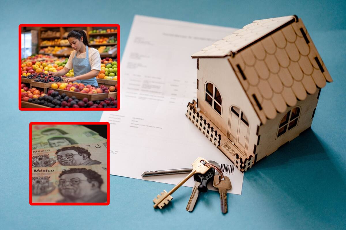 Personas que ganen este salario mínimo serán beneficiadas con el programa Vivienda para el Bienestar