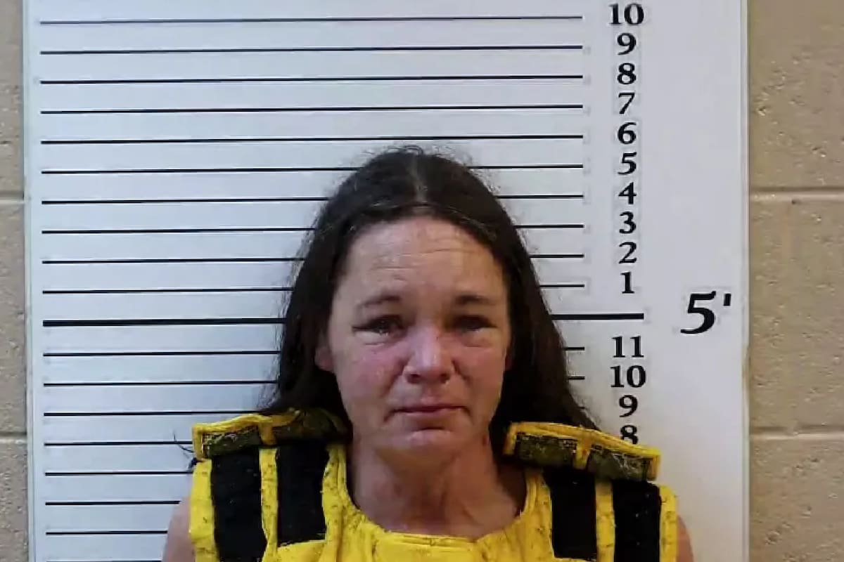 Madre asesina a sus gemelos de 4 años en Carolina del Norte