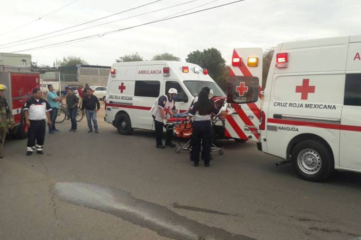 Aumentan atropellados en Navojoa este 2024