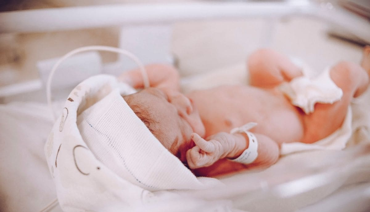 Un bebé recién nacido descansa en una cuna hospitalaria tras el parto, momento que marca el inicio de una serie de gastos médicos e insumos básicos en México. | Pexels