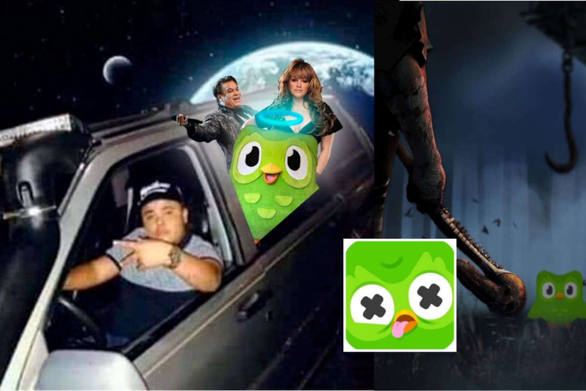 Estos son los mejores memes tras la ‘muerte’ del búho verde de Duolingo