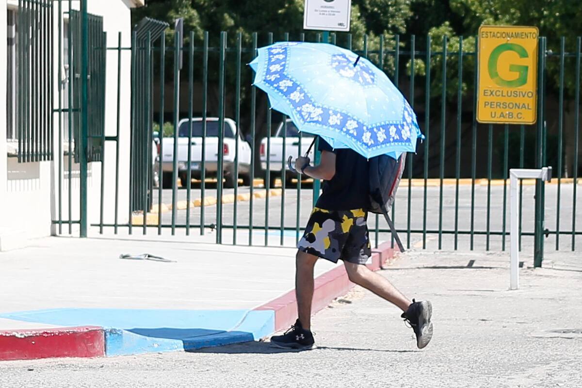Clima Mexicali: Pronostican máximas de 41°C y probabilidades de lluvia